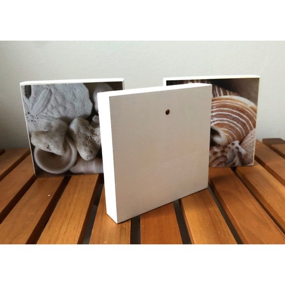Three 4x4 Seashell Photo Blocks - Picture 2 of 4